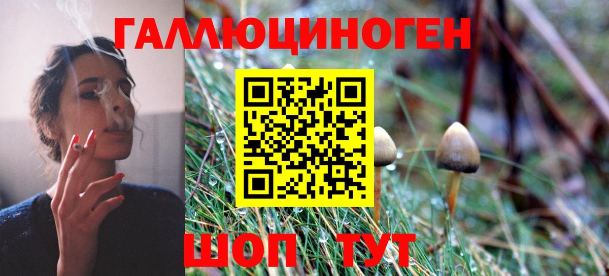 как найти закладки  Вход с VPN  Можга  Псилоцибиновые грибы мухоморы 